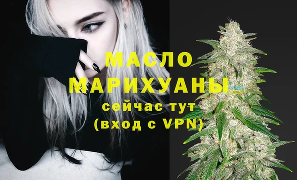 индика Нея