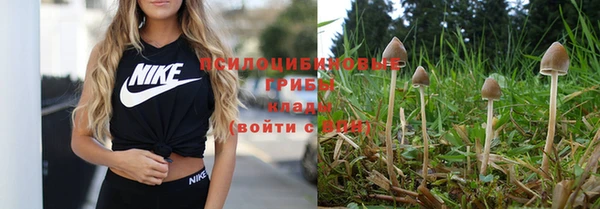 каннабис Балахна