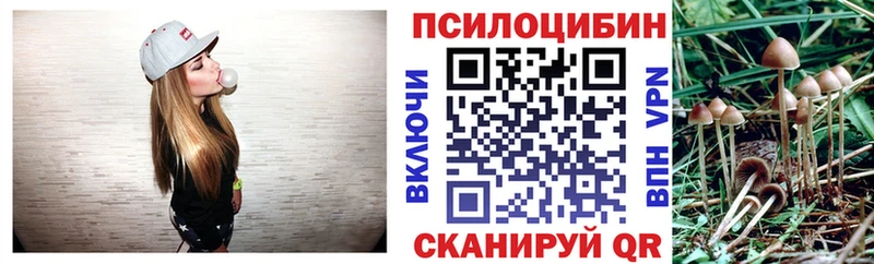 Галлюциногенные грибы Psilocybe  Городище 